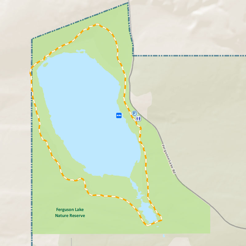 Map of Ferguson Lake Nature Reserve, showing the location adjacent to Ferguson Lake Road and the City boundary, with the trail circling Ferguson Lake.