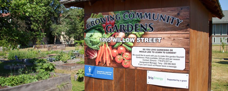 A shed with garden in the background. Sign on shed reads Growing Community Gardens, 1905 Willow Street.